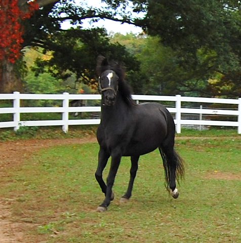 Larissa 2007